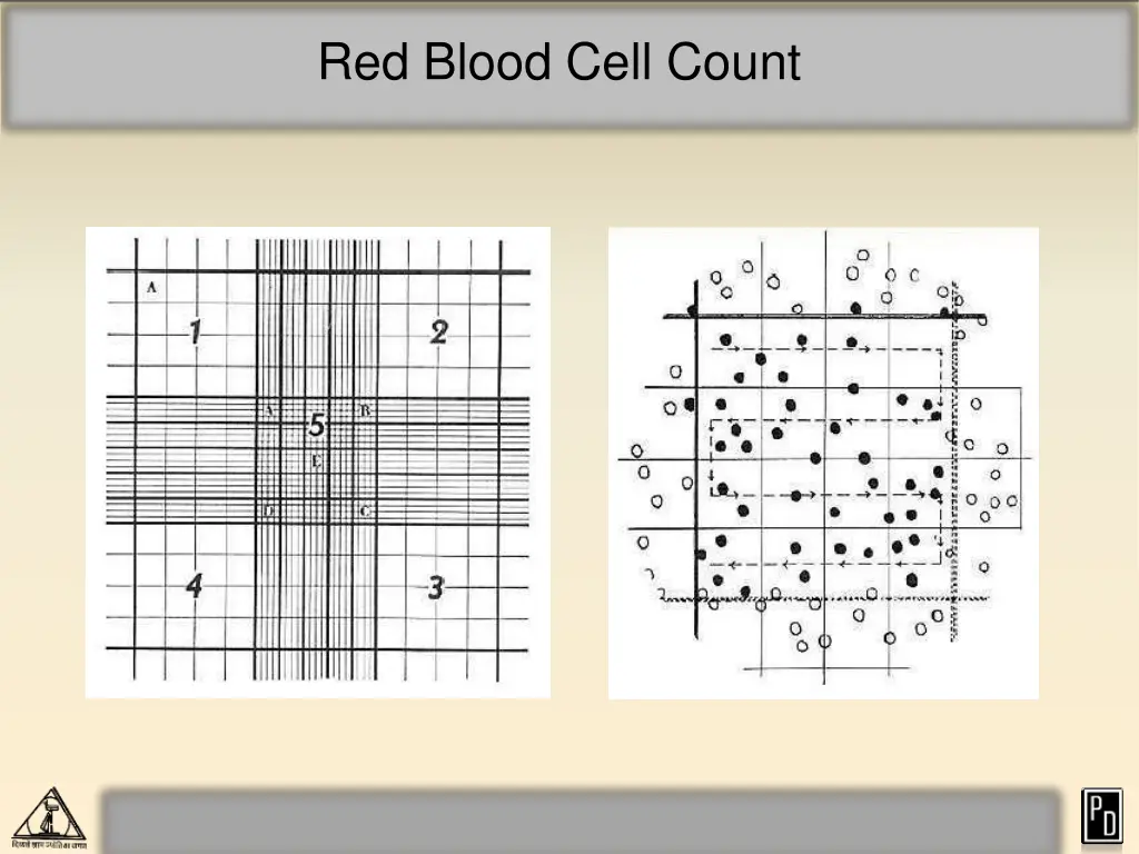 red blood cell count 10