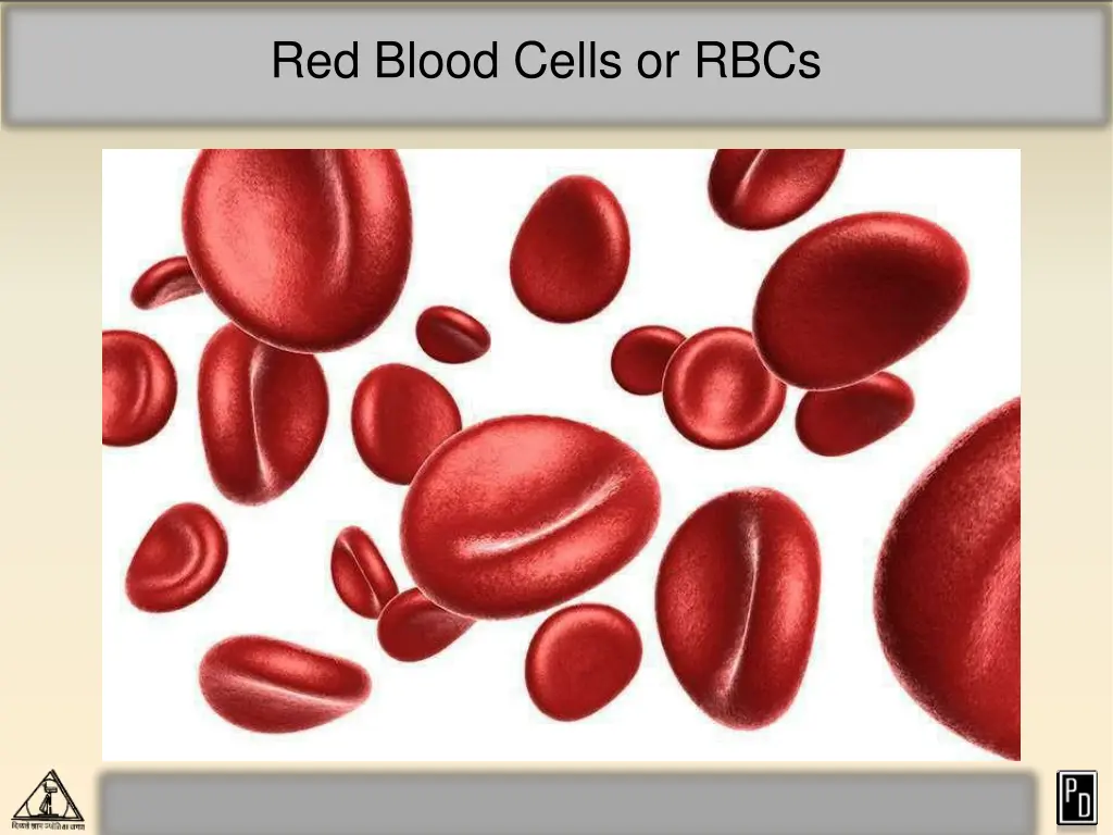 red blood cells or rbcs