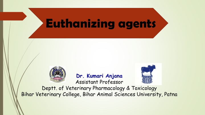 euthanizing agents