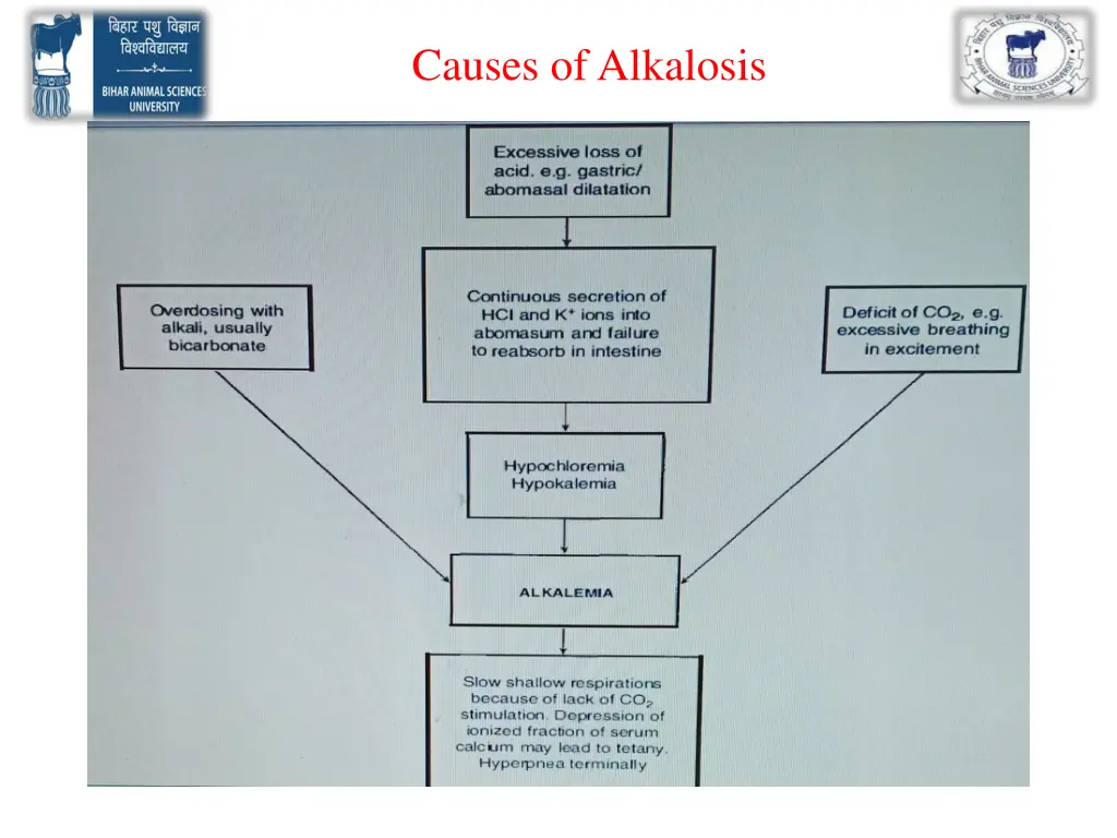 causes of alkalosis 2