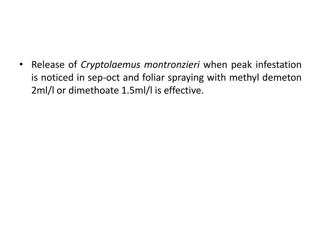 release of cryptolaemus montronzieri when peak