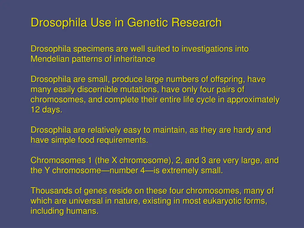 drosophila use in genetic research