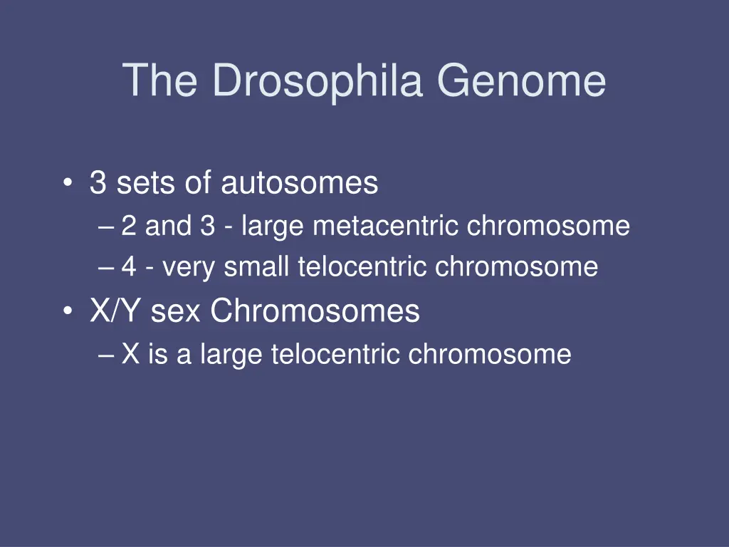 the drosophila genome