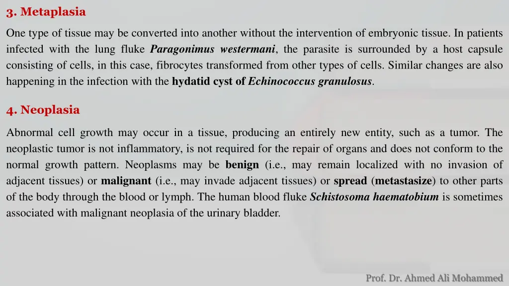 3 metaplasia