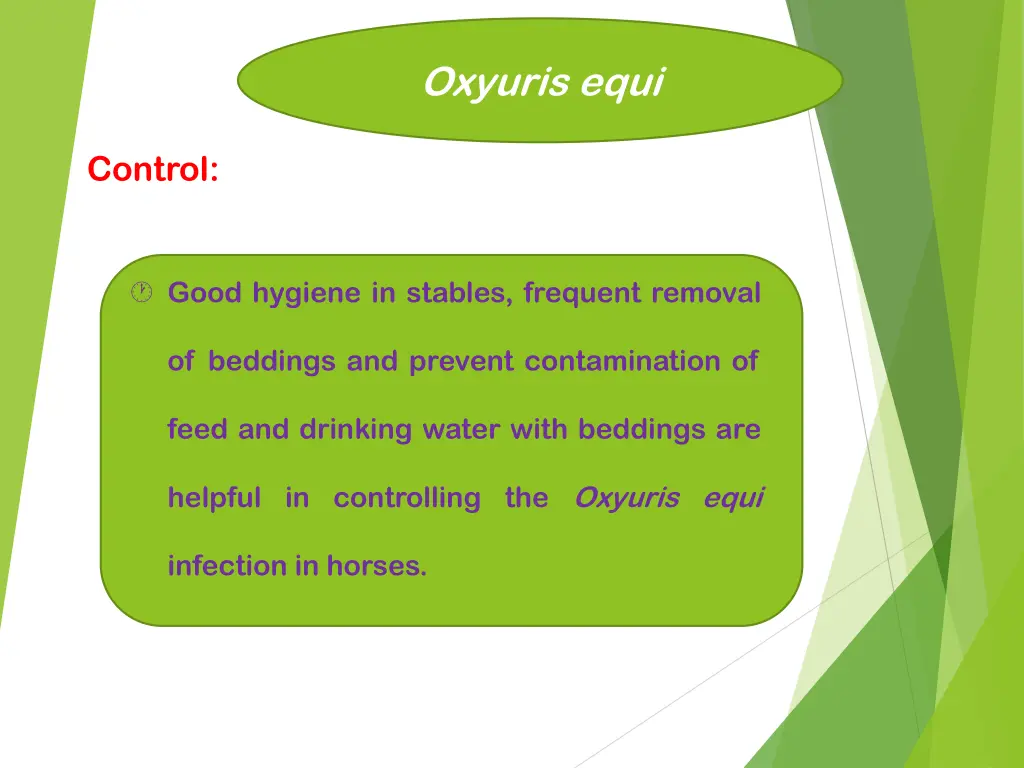 oxyuris equi 8