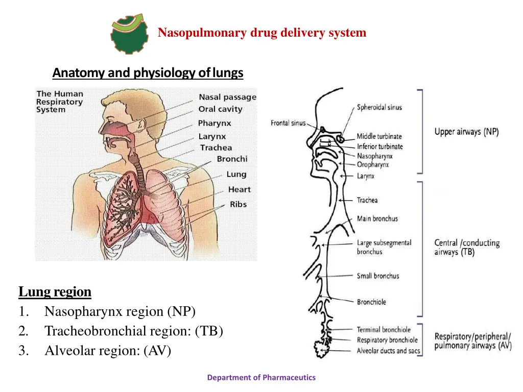 nasopulmonary drug delivery system 15