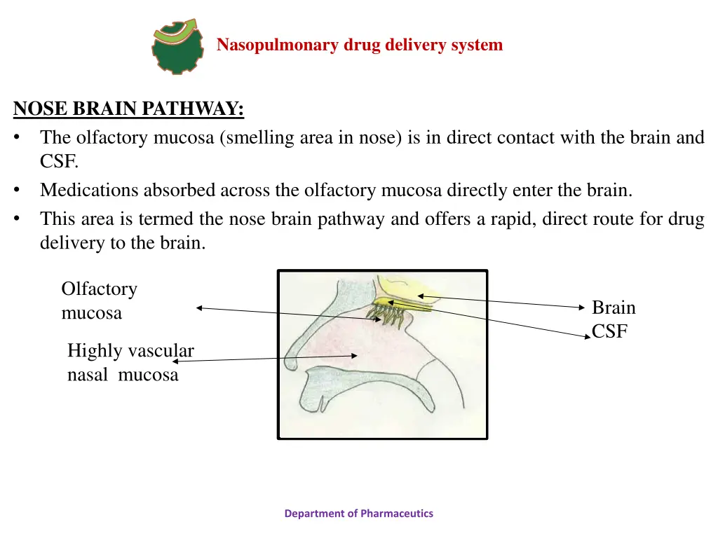 nasopulmonary drug delivery system 5