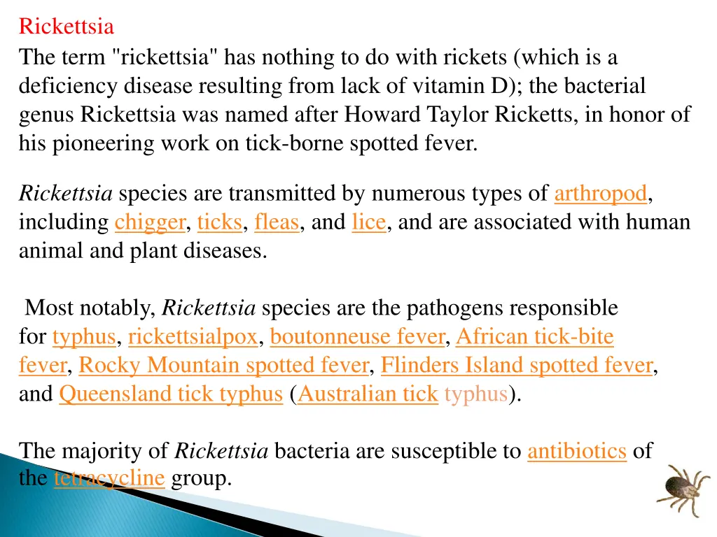 rickettsia the term rickettsia has nothing