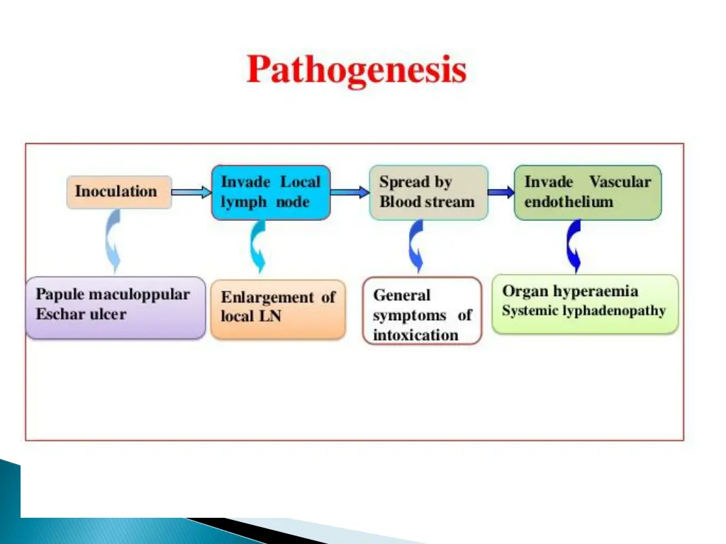 slide6