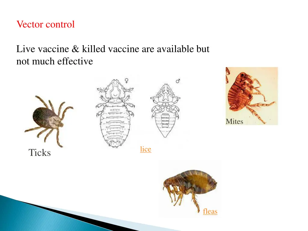 vector control