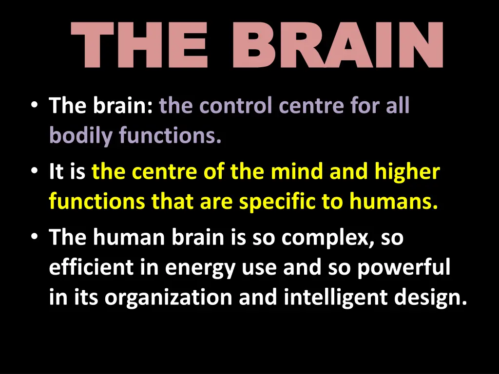 the brain the brain