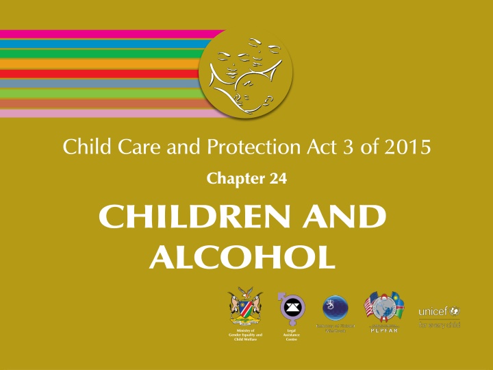 child care and protection act 3 of 2015