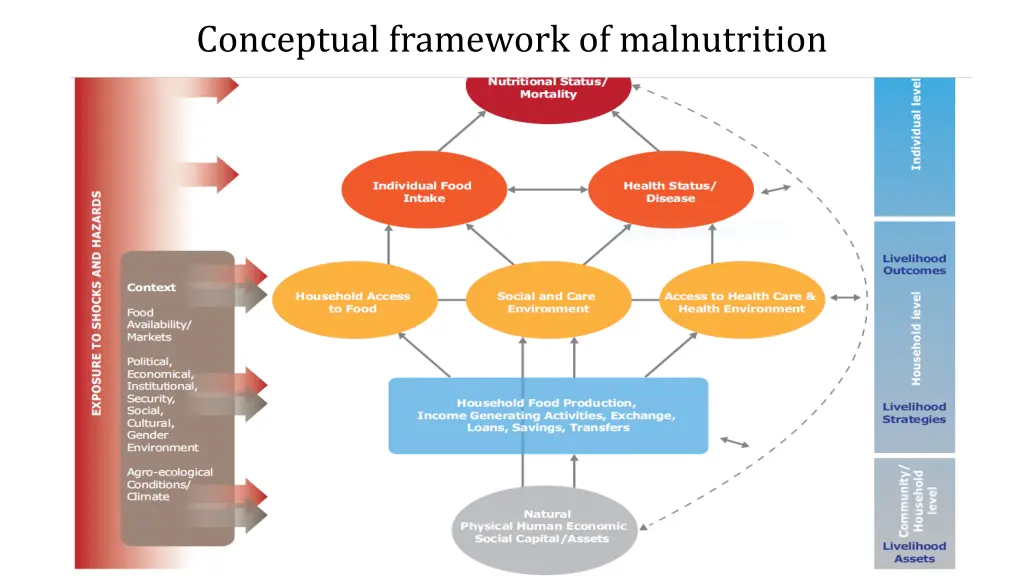 conceptual framework of malnutrition