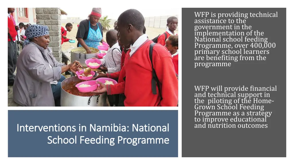 wfp is providing technical assistance