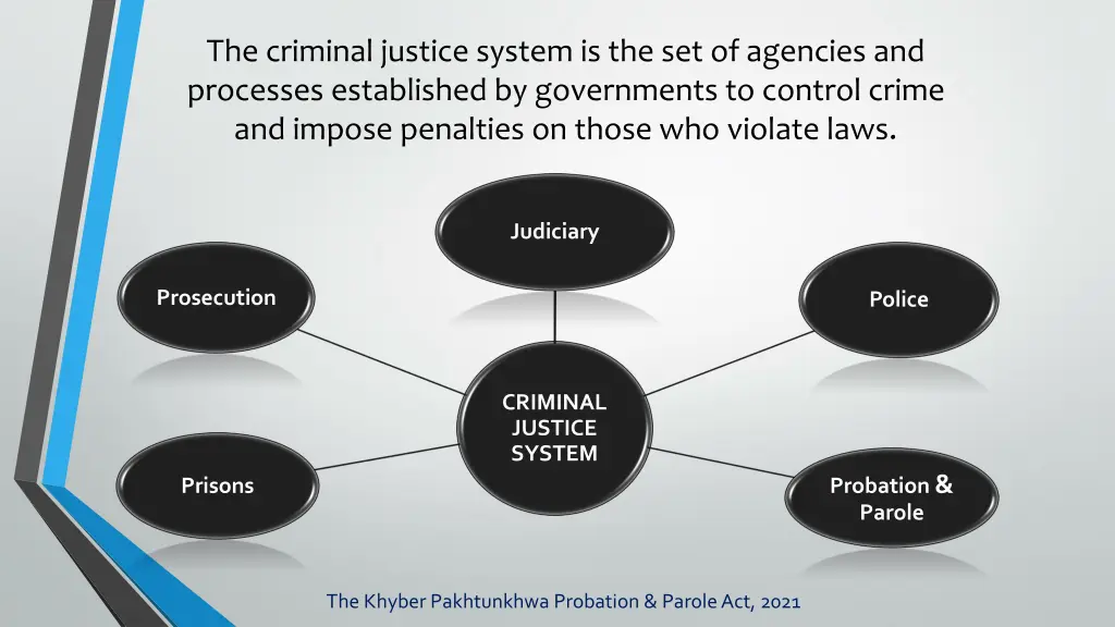 t he criminal justice system