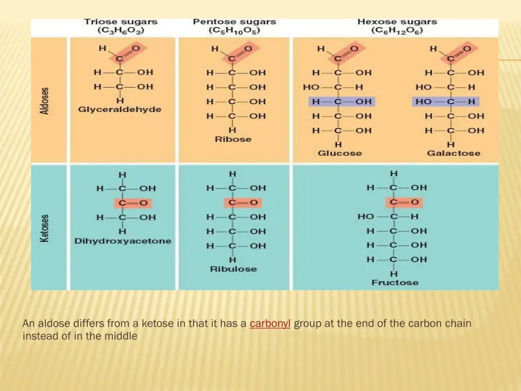 an aldose differs from a ketose in that