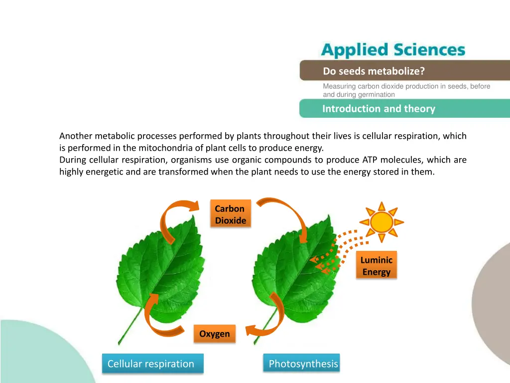 do seeds metabolize 5