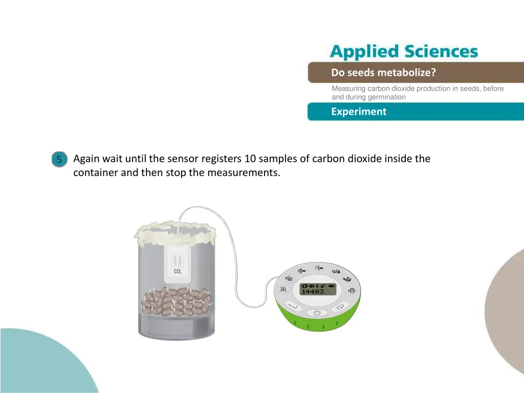 endothermic and exothermic reactions do seeds