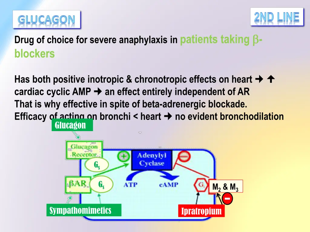 drug of choice for severe anaphylaxis in patients