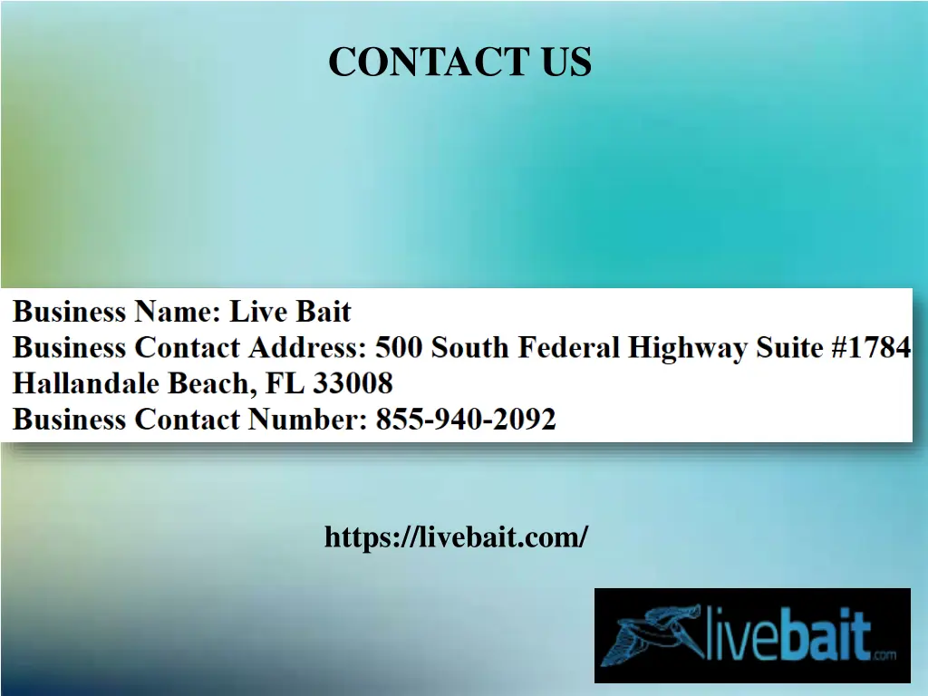 contact us