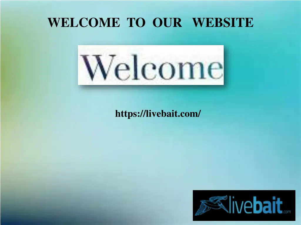 welcome to our website