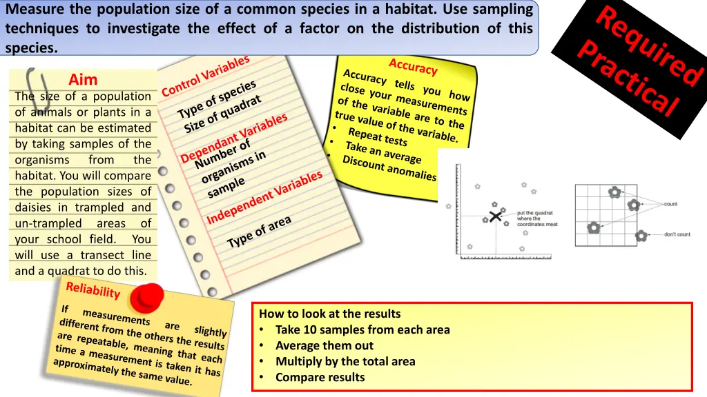 measure the population size of a common species 1