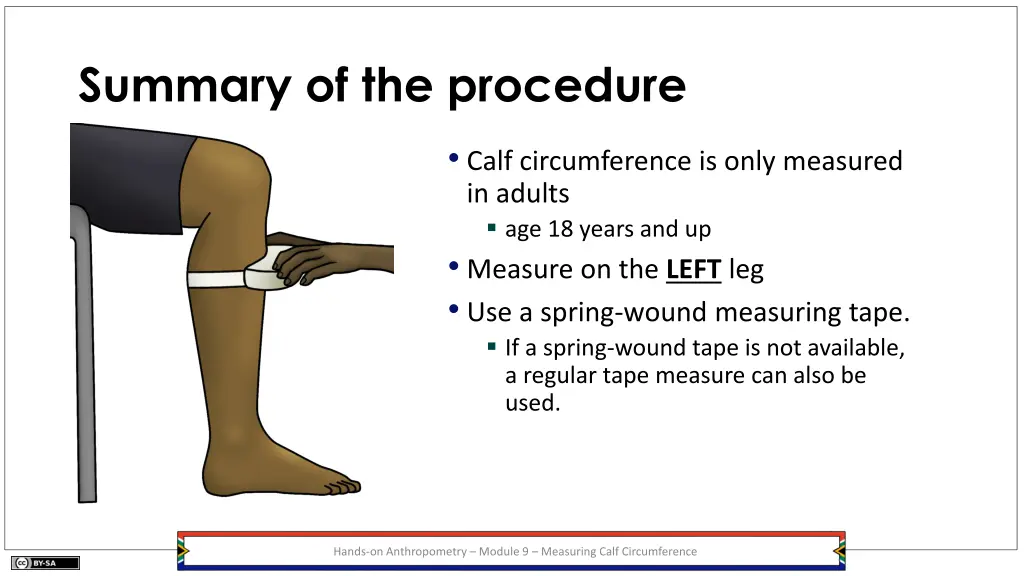 summary of the procedure