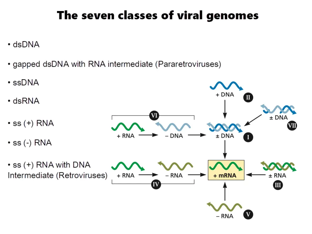 slide3