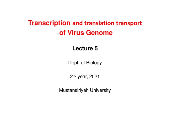 transcription and translation transport of virus