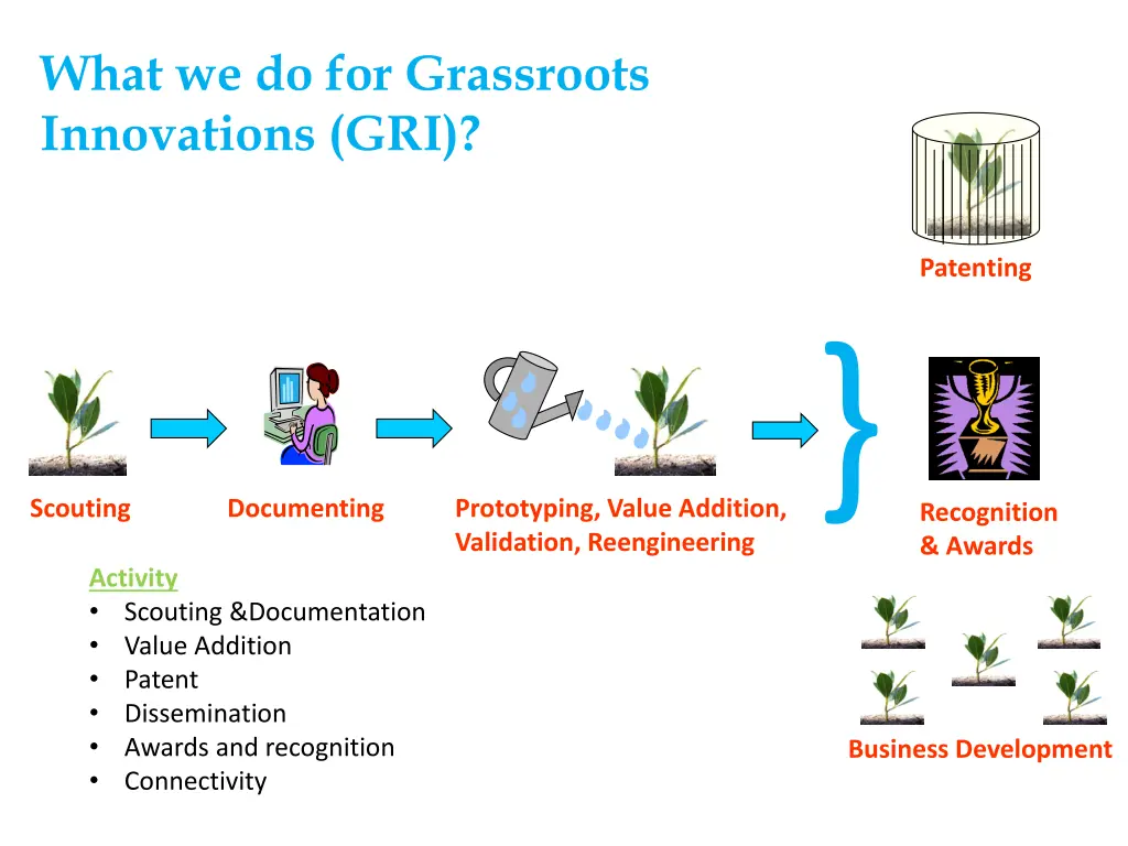 what we do for grassroots innovations gri