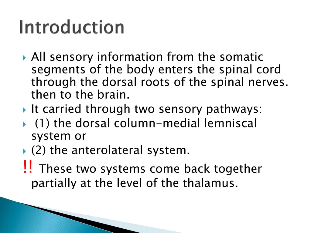 all sensory information from the somatic segments