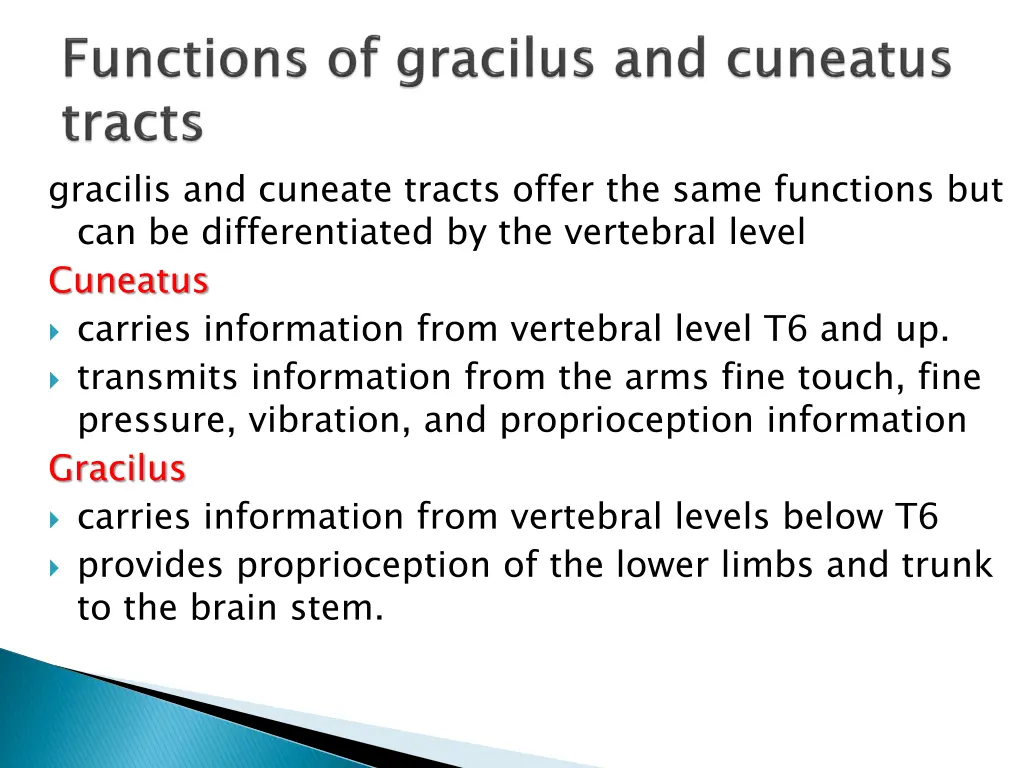 gracilis and cuneate tracts offer the same