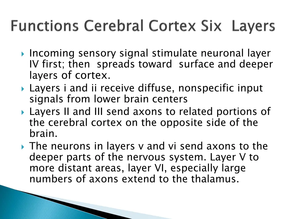 incoming sensory signal stimulate neuronal layer