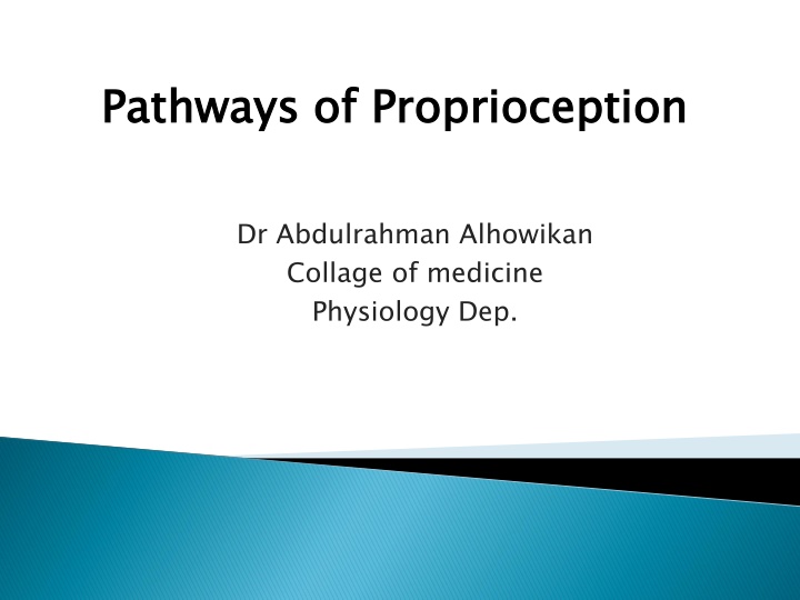 pathways of