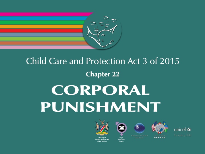 child care and protection act 3 of 2015