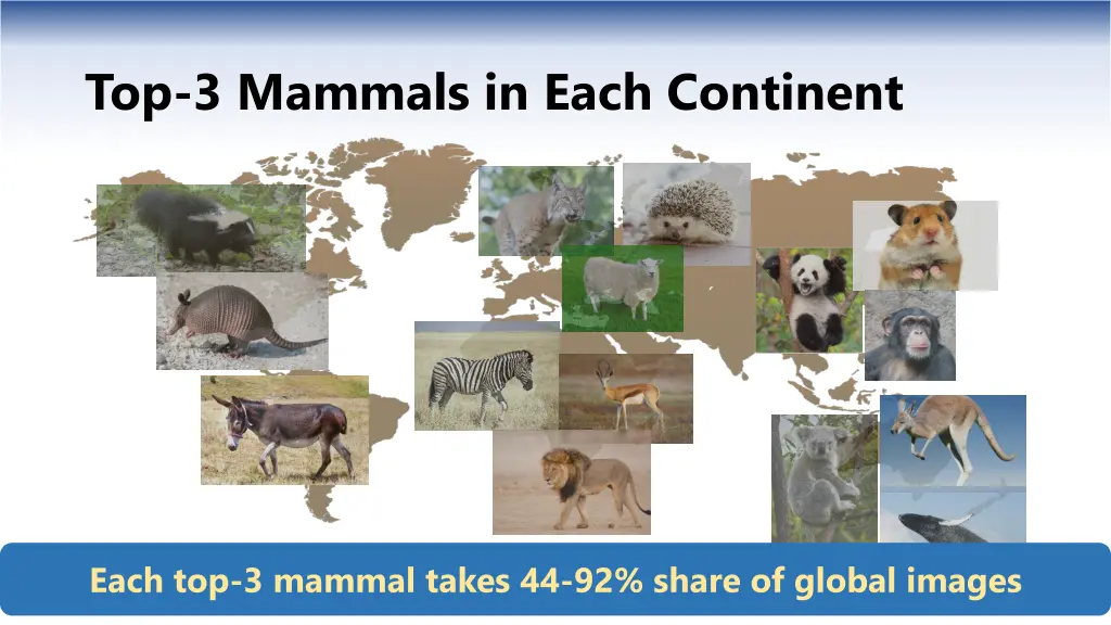 top 3 mammals in each continent