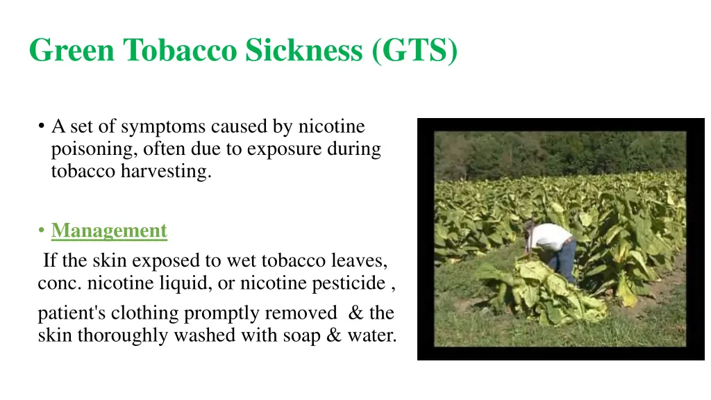 green tobacco sickness gts