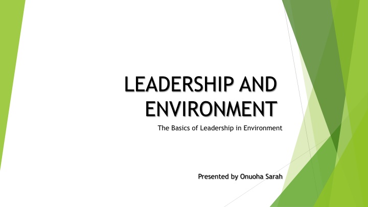 leadership and environment the basics