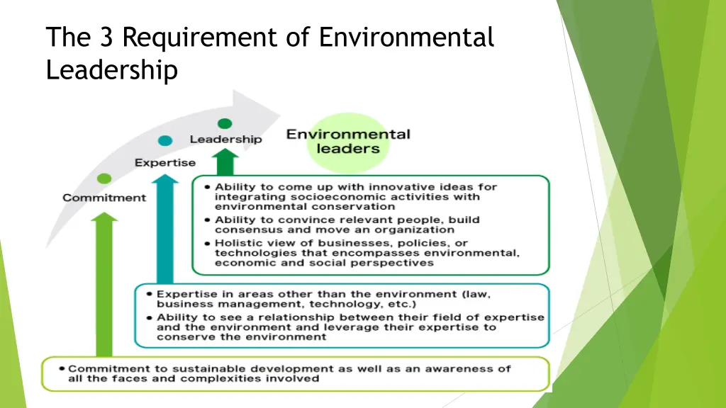 the 3 requirement of environmental leadership