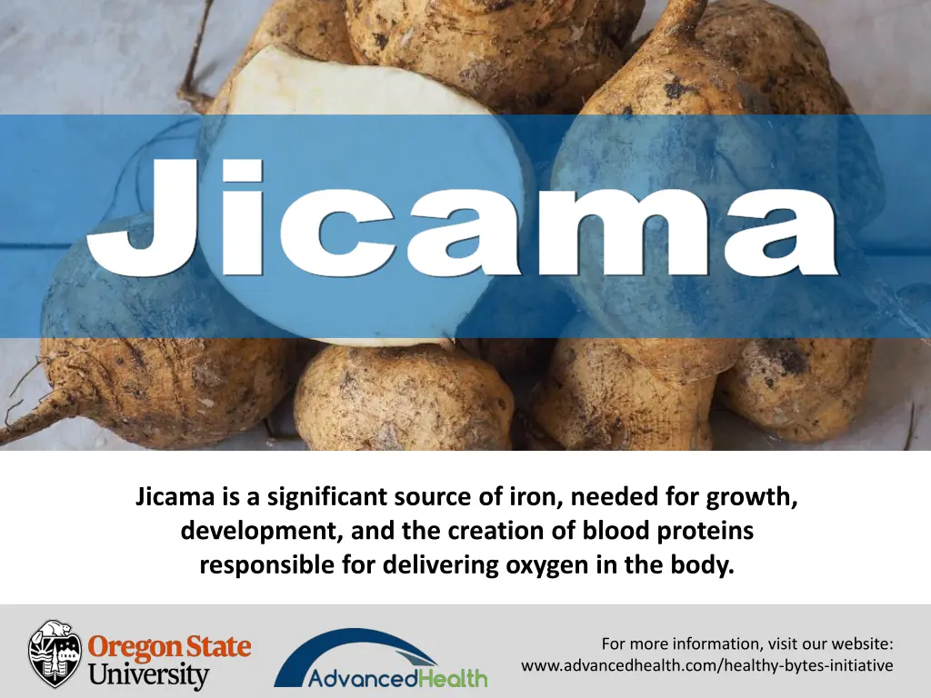 jicama jicama 5