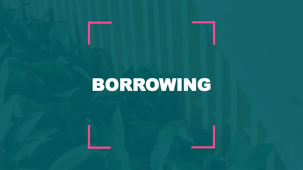 borrowing borrowing