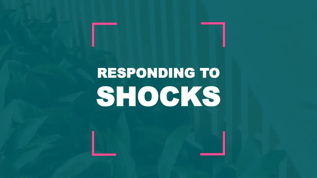 responding to responding to shocks shocks