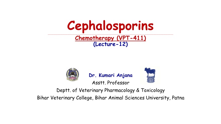 cephalosporins chemotherapy vpt 411 lecture 12