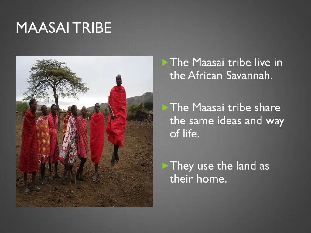 maasai tribe