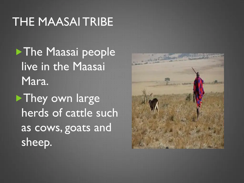 the maasai tribe 1