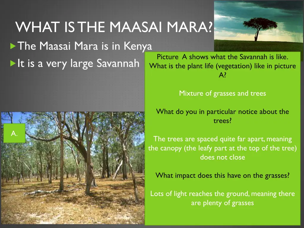 what is the maasai mara the maasai mara