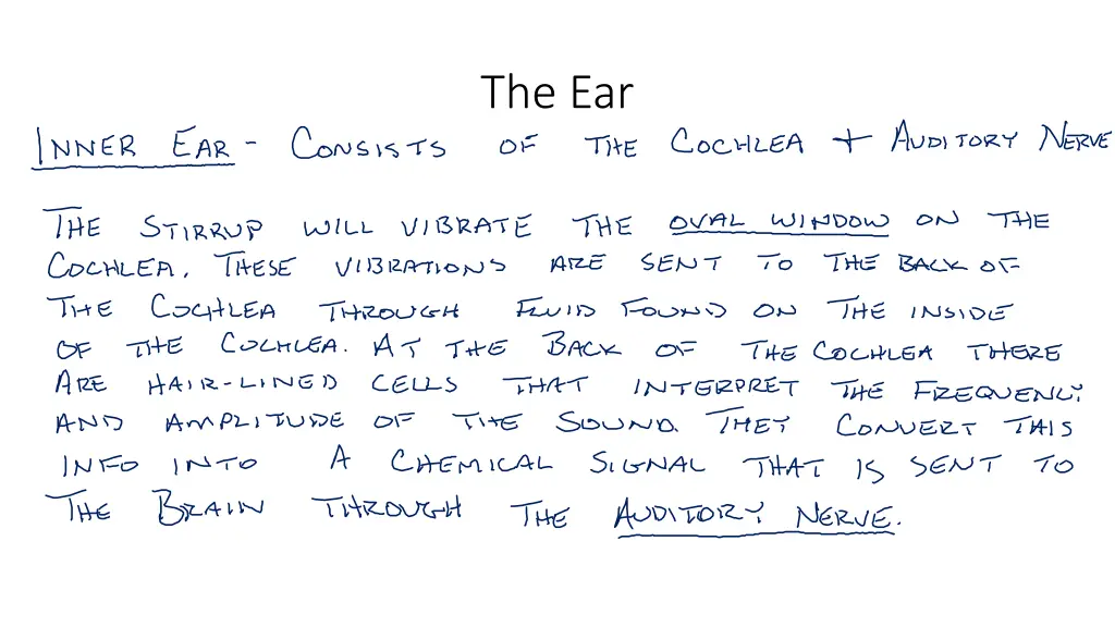 the ear 1