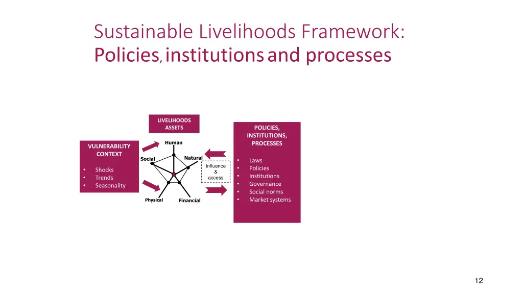 sustainable livelihoods framework policies