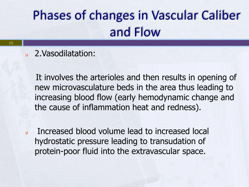 phases of changes in vascular caliber and flow 1