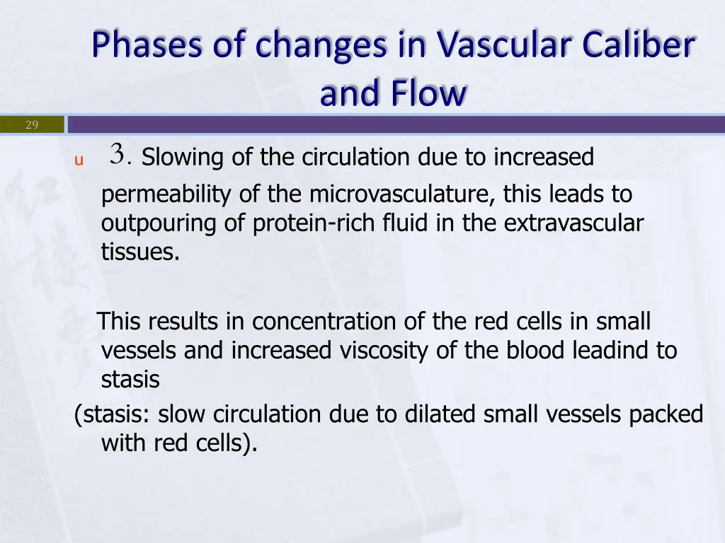 phases of changes in vascular caliber and flow 2